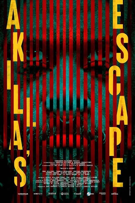 Akila's Escape cover